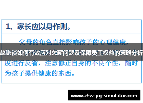 赵鹏谈如何有效应对欠薪问题及保障员工权益的策略分析